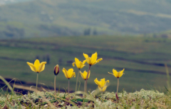 教育将在学生教师业界专家共同形成的圈层中自然生发恣意生长